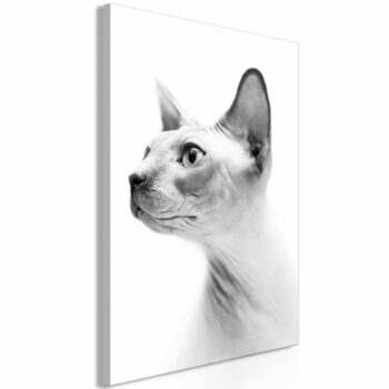 Tavla – Hairless Cat (1 Part) Vertical