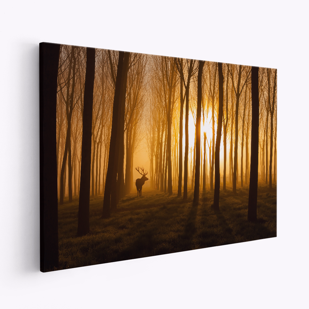 Canvastavla Once Upon a Time - Tavla