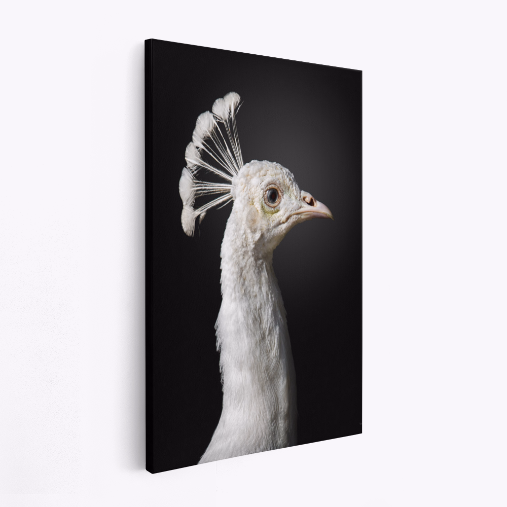 Canvastavla M A J E S T I C - Tavla