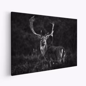 Canvastavla Ready for the love season - Tavla