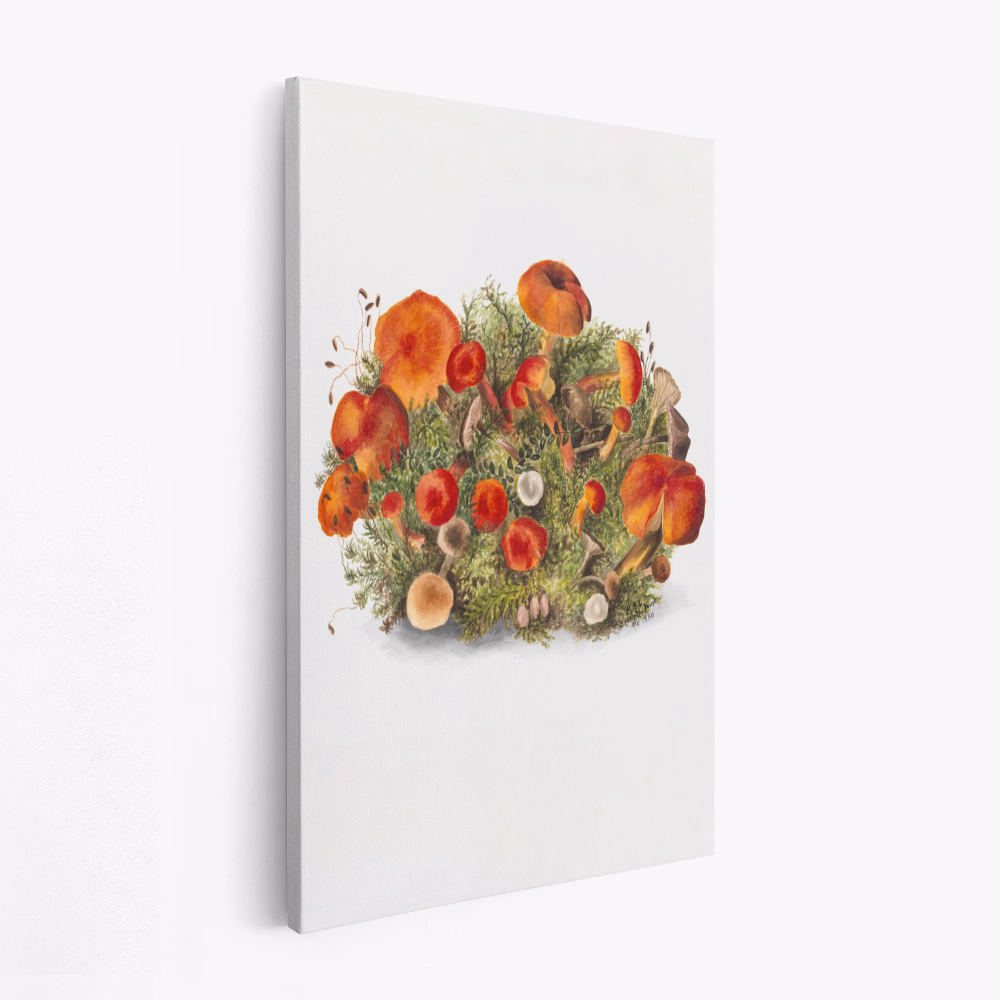 Canvastavla Study of Mushrooms (1880) Portrait Mode - Tavla