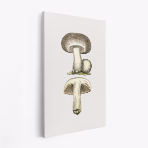 Canvastavla Hand Drawn Field Mushroom Gray - Tavla