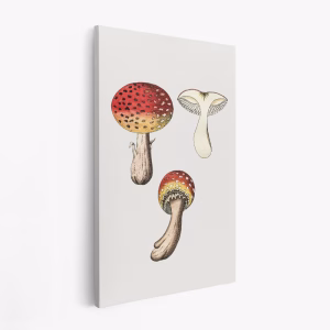 Canvastavla Hand Drawn Fly Agaric Mushroom - Tavla