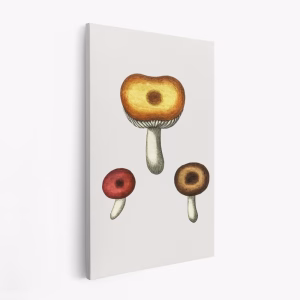 Canvastavla Hand Drawn Galerina Mushroom - Tavla