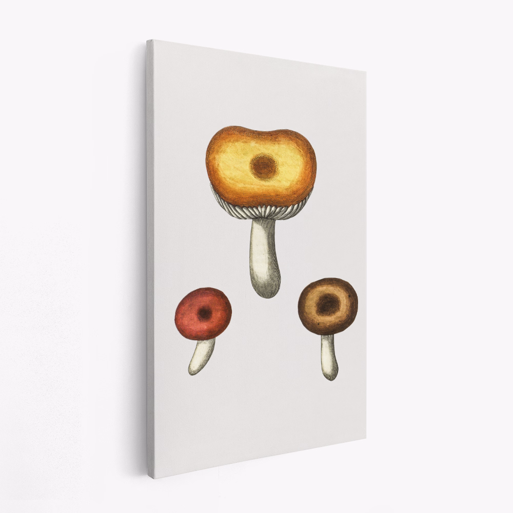 Canvastavla Hand Drawn Galerina Mushroom - Tavla