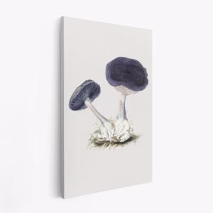 Canvastavla Vintage Violet Webcap Mushroom - Tavla