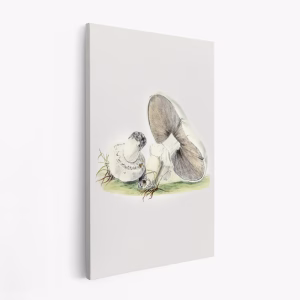 Canvastavla Hand Drawn Horse Mushroom Standing - Tavla