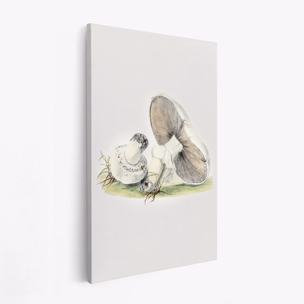 Canvastavla Hand Drawn Horse Mushroom Standing - Tavla